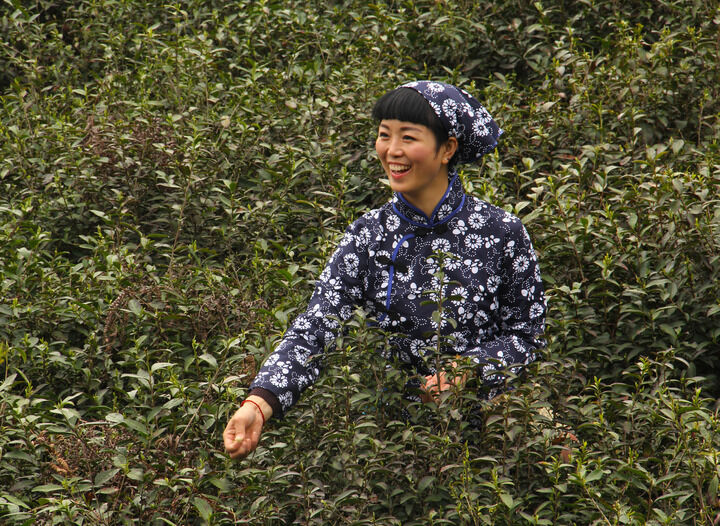 致命女人